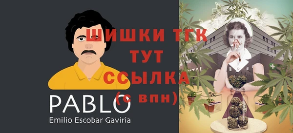 mix Абаза